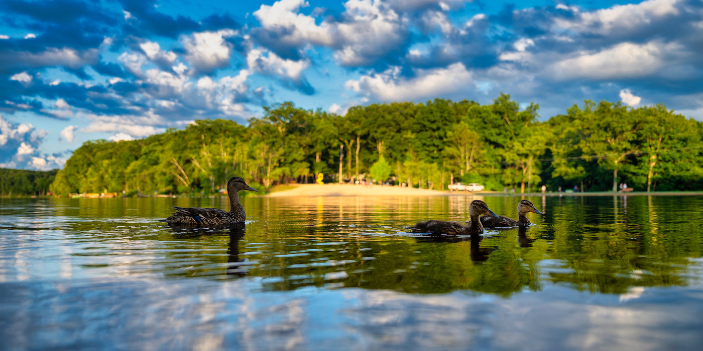 Otter Lake Campground